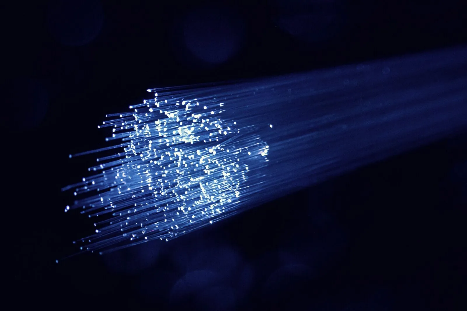 Optical Signal Verification